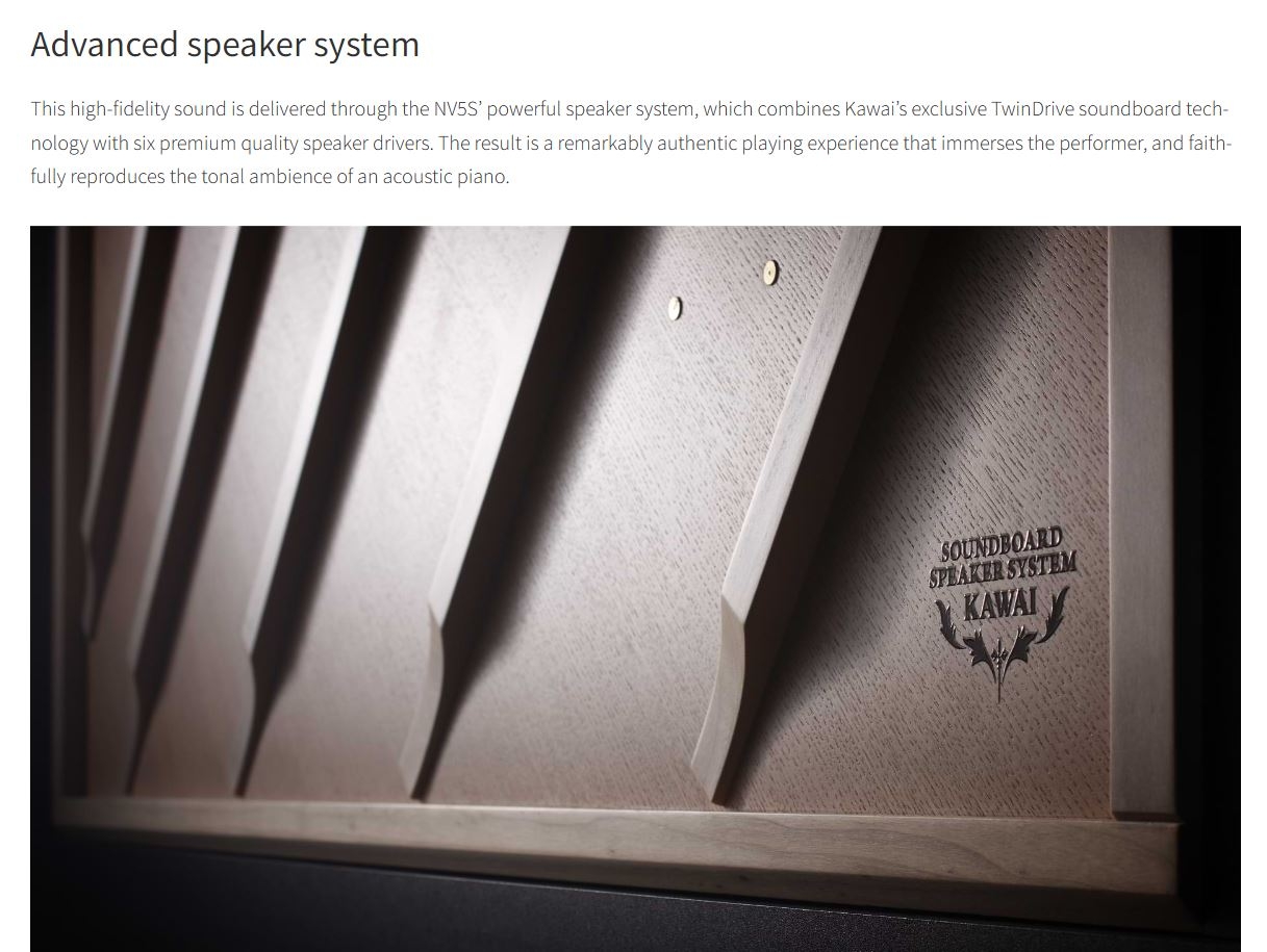 Advanced speaker system